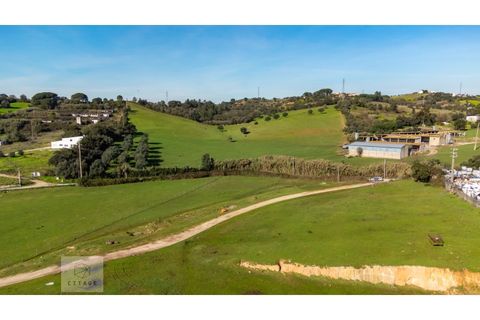 Erhvervsejendom i Azambuja, Lisbon, Azambuja - € 6.000.000 | Ref: Citage 118/23 - foto 21