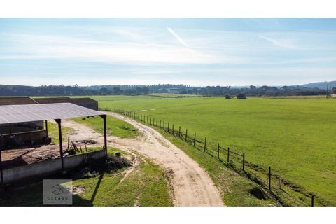 Erhvervsejendom i Azambuja, Lisbon, Azambuja - € 6.000.000 | Ref: Citage 118/23 - foto 22