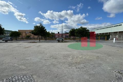 Helårsgrund i Rio Maior, Santarem, Rio Maior - € 325.000 | Ref: 43.23 - foto 2