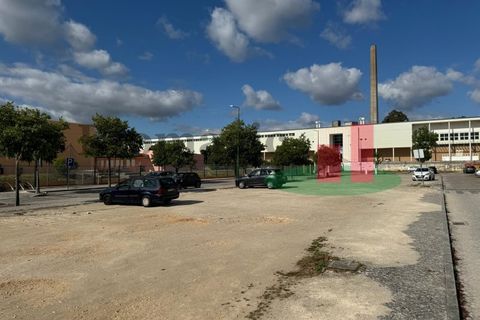 Helårsgrund i Rio Maior, Santarem, Rio Maior - € 350.000 | Ref: 42.23 - foto 27