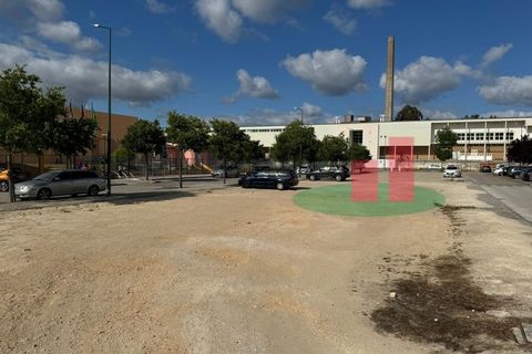 Helårsgrund i Rio Maior, Santarem, Rio Maior - € 350.000 | Ref: 42.23 - foto 28