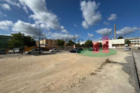 Helårsgrund i Rio Maior, Santarem, Rio Maior - € 350.000 | Ref: 42.23 - foto 29