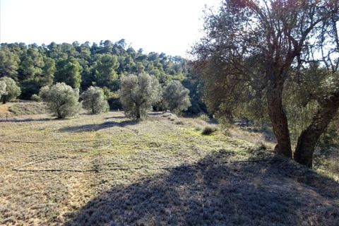 Finca i Maella, Zaragoza, Maella - € 16.000 | Ref: 0872 - foto 20