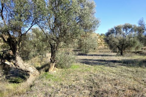 Finca i Maella, Zaragoza, Maella - € 16.000 | Ref: 0872 - foto 7