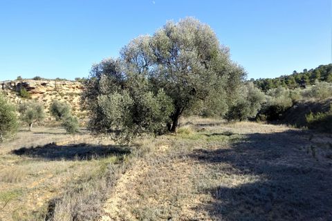 Finca i Maella, Zaragoza, Maella - € 16.000 | Ref: 0872 - foto 6