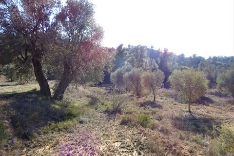 Finca i Maella, Zaragoza, Maella - € 16.000 | Ref: 0872 - foto 19