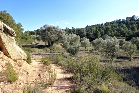 Finca i Maella, Zaragoza, Maella - € 16.000 | Ref: 0872 - foto 17