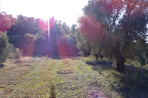 Finca i Maella, Zaragoza, Maella - € 16.000 | Ref: 0872 - foto 26