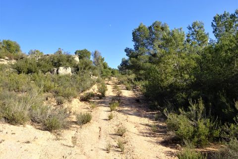 Finca i Maella, Zaragoza, Maella - € 16.000 | Ref: 0872 - foto 11