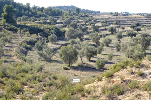 Finca i Maella, Zaragoza, Maella - € 16.000 | Ref: 0872 - foto 12