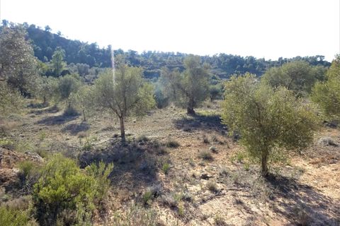 Finca i Maella, Zaragoza, Maella - € 16.000 | Ref: 0872 - foto 16