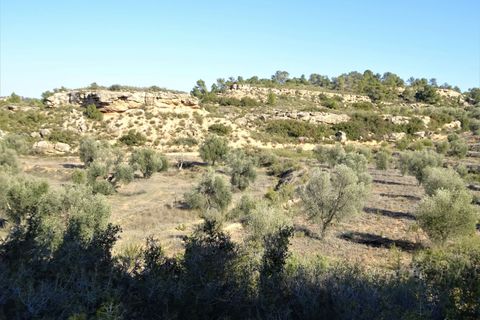 Finca i Maella, Zaragoza, Maella - € 16.000 | Ref: 0872 - foto 9