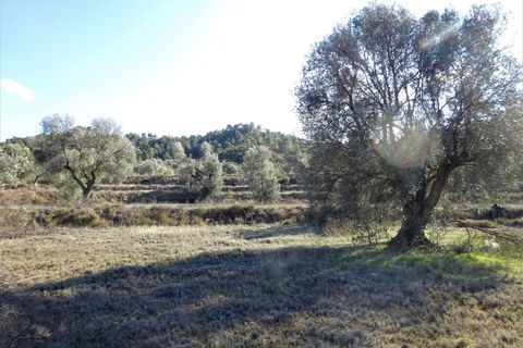 Finca i Maella, Zaragoza, Maella - € 16.000 | Ref: 0872 - foto 8