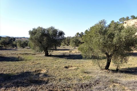 Finca i Maella, Zaragoza, Maella - € 16.000 | Ref: 0872 - foto 23