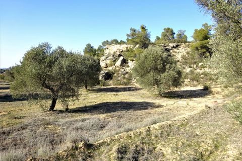 Finca i Maella, Zaragoza, Maella - € 16.000 | Ref: 0872 - foto 24