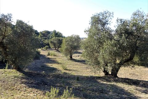 Finca i Maella, Zaragoza, Maella - € 16.000 | Ref: 0872 - foto 25