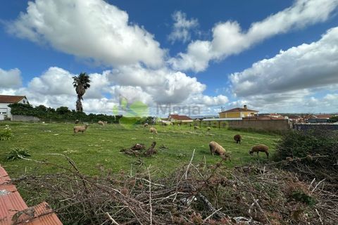 Helårsgrund i Torres Vedras, Lisbon, Torres Vedras - € 110.000 | Ref: 1150 - foto 5