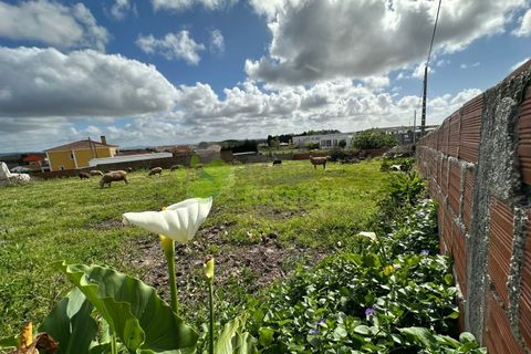 Helårsgrund i Torres Vedras, Lisbon, Torres Vedras - € 110.000 | Ref: 1150 - foto 6