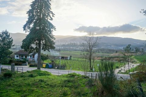 Helårsgrund i Ponte de Lima, Viana do Castelo, Ponte de Lima - € 30.000 | Ref: 3907 - foto 2