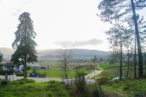 Helårsgrund i Ponte de Lima, Viana do Castelo, Ponte de Lima - € 30.000 | Ref: 3907 - foto 3