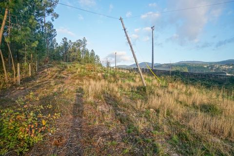 Helårsgrund i Ponte de Lima, Viana do Castelo, Ponte de Lima - € 30.000 | Ref: 3907 - foto 4