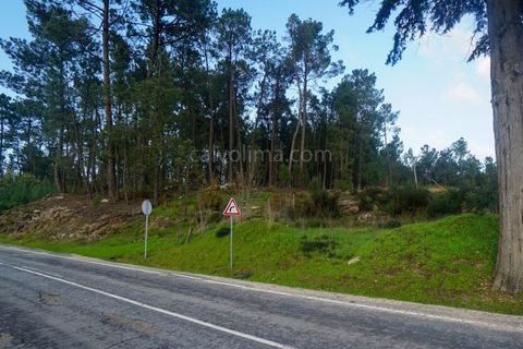 Helårsgrund i Ponte de Lima, Viana do Castelo, Ponte de Lima - € 30.000 | Ref: 3907 - foto 1