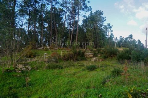 Helårsgrund i Ponte de Lima, Viana do Castelo, Ponte de Lima - € 30.000 | Ref: 3907 - foto 5