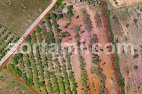 Helårsgrund i Albufeira, Faro, Albufeira - € 1.350.000 | Ref: Sort14246 - foto 6
