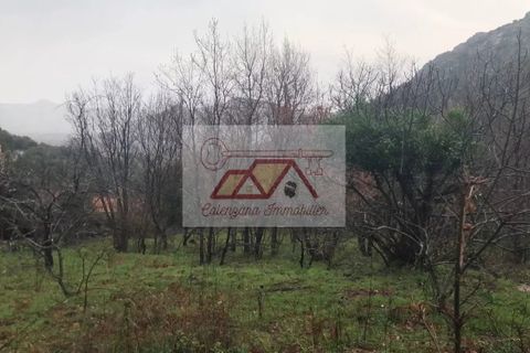 Terra a Muro, Haute-Corse, Muro - € 363.800 | Ref: 12 - foto 3