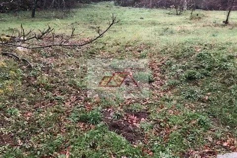 Terra a Muro, Haute-Corse, Muro - € 363.800 | Ref: 12 - foto 5
