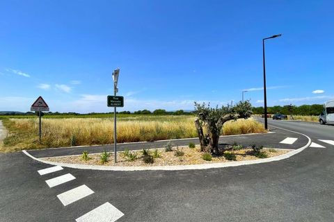 Terra a Floure, Aude, Floure - € 65.000 | Ref: 11-_FLOURE - foto 5