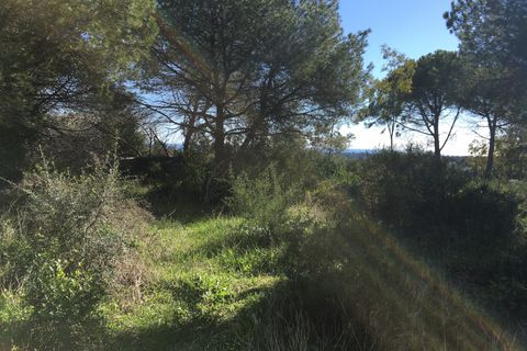 Helårsgrund i Sotogrande, Cadiz, Sotogrande - € 1.000.000 | Ref: 428-00799P - foto 10