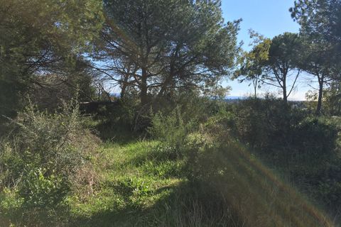 Helårsgrund i Sotogrande, Cadiz, Sotogrande - € 1.000.000 | Ref: 428-00799P - foto 11