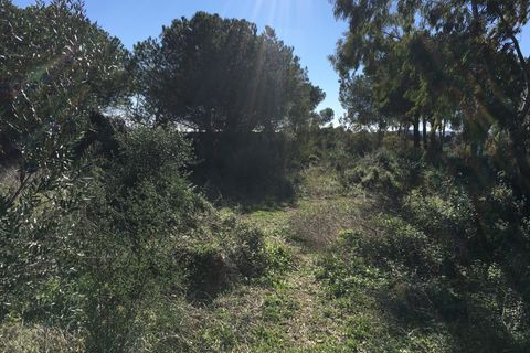 Helårsgrund i Sotogrande, Cadiz, Sotogrande - € 1.000.000 | Ref: 428-00799P - foto 23