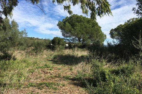 Helårsgrund i Sotogrande, Cadiz, Sotogrande - € 1.000.000 | Ref: 428-00799P - foto 24