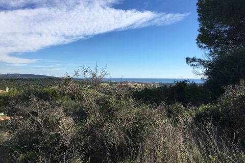 Helårsgrund i Sotogrande, Cadiz, Sotogrande - € 1.000.000 | Ref: 428-00799P - foto 27