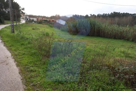 Helårsgrund i Anadia, Aveiro, Anadia - € 43.000 | Ref: TER_989 - foto 3