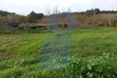 Helårsgrund i Anadia, Aveiro, Anadia - € 43.000 | Ref: TER_989 - foto 4