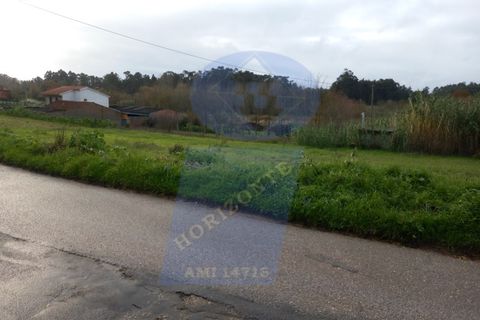 Helårsgrund i Anadia, Aveiro, Anadia - € 43.000 | Ref: TER_989 - foto 5