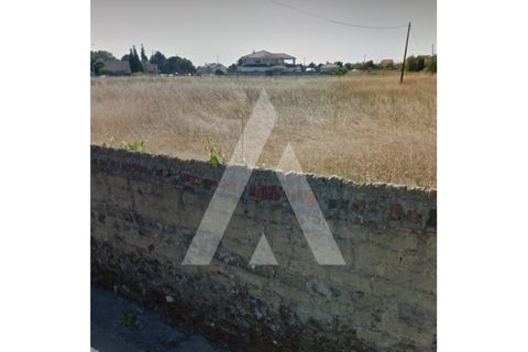 Helårsgrund i Eixo e Eirol, Aveiro, Eixo e Eirol - € 263.000 | Ref: 1020852/23 FR - foto 2