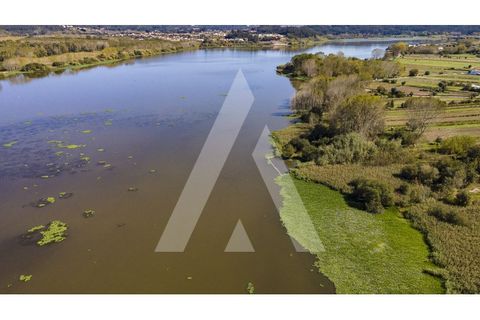 Helårsgrund i Eixo e Eirol, Aveiro, Eixo e Eirol - € 263.000 | Ref: 1020852/23 FR - foto 6