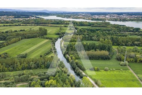 Helårsgrund i Eixo e Eirol, Aveiro, Eixo e Eirol - € 263.000 | Ref: 1020852/23 FR - foto 7