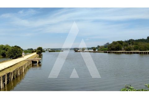 Helårsgrund i Eixo e Eirol, Aveiro, Eixo e Eirol - € 263.000 | Ref: 1020852/23 FR - foto 9