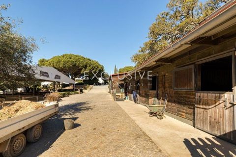 Villa i Lagoa, Faro, Lagoa - € 3.850.000 | Ref: EAV-3538 - foto 35