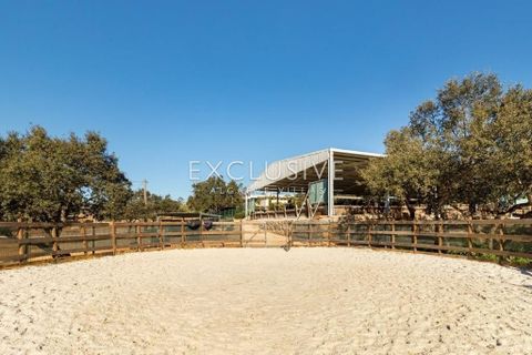 Villa i Lagoa, Faro, Lagoa - € 3.850.000 | Ref: EAV-3538 - foto 38