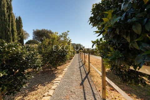Villa i Lagoa, Faro, Lagoa - € 3.850.000 | Ref: EAV-3538 - foto 39