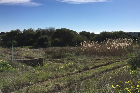 Helårsgrund i Sotogrande, Cadiz, Sotogrande - € 785.000 | Ref: 428-01227P - foto 3