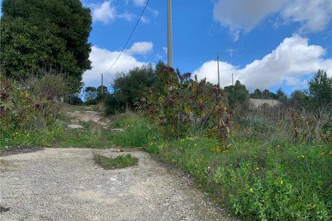 Helårsgrund i Noto, Siracusa, Noto - € 55.000 | Ref: 45T - foto 2