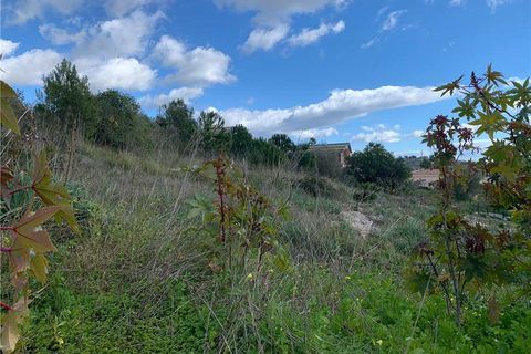 Helårsgrund i Noto, Siracusa, Noto - € 55.000 | Ref: 45T - foto 5