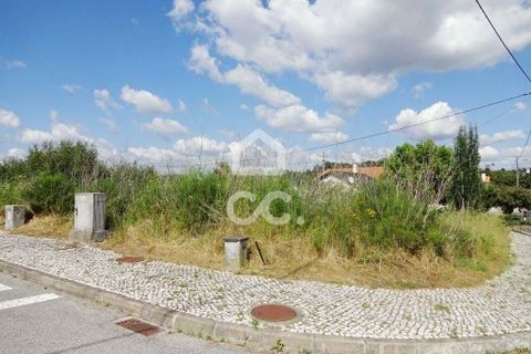 Terra a Abraveses, Viseu, Abraveses - € 40.000 | Ref: 353/T/01106 - foto 2
